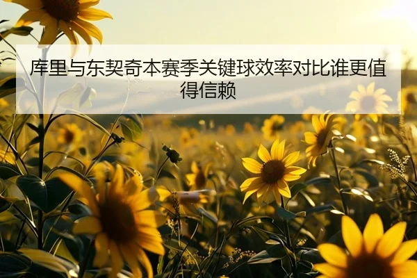库里与东契奇本赛季关键球效率对比谁更值得信赖